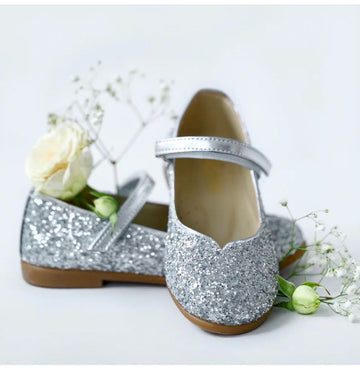 Sparkly Silver Shoes